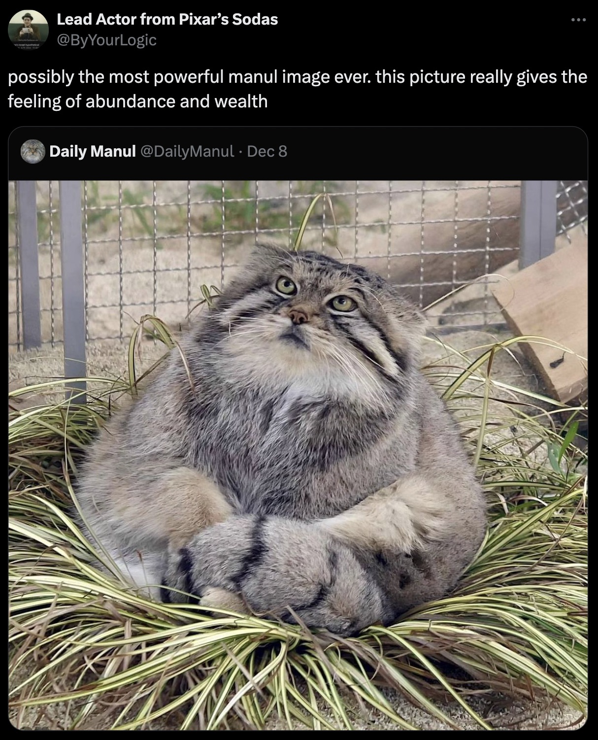 asian - Lead Actor from Pixar's Sodas possibly the most powerful manul image ever. this picture really gives the feeling of abundance and wealth Daily Manul Dec 8